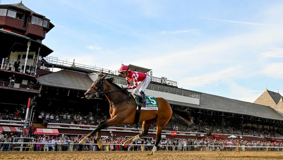 Nitrogen, Whitney Stakes, Saratoga Race Course, Breeders' Cup Classic, horse racing, America's Best Racing, ABR